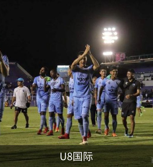 U8国际简介